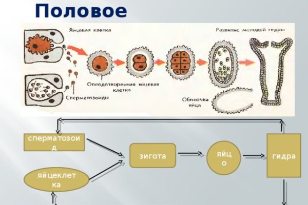 Kraken ссылка на сайт тор