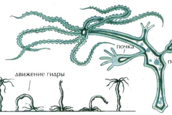 Кракен даркнет стор