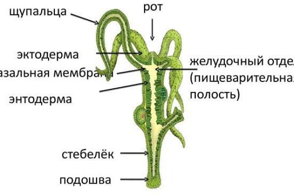 Кракен даркнет стор